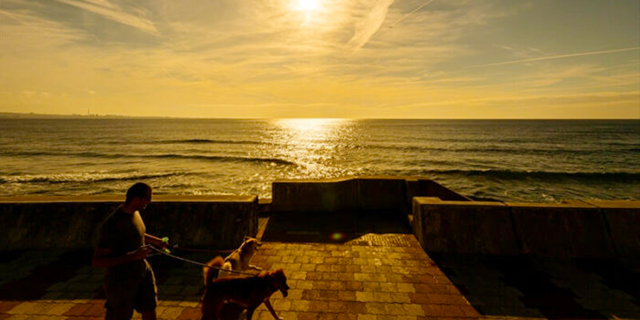 The Moana／Sakhrani Collections株式会社メイン画像3